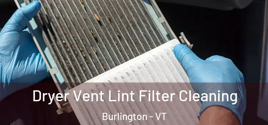  Dryer Vent Lint Filter Cleaning Burlington - VT