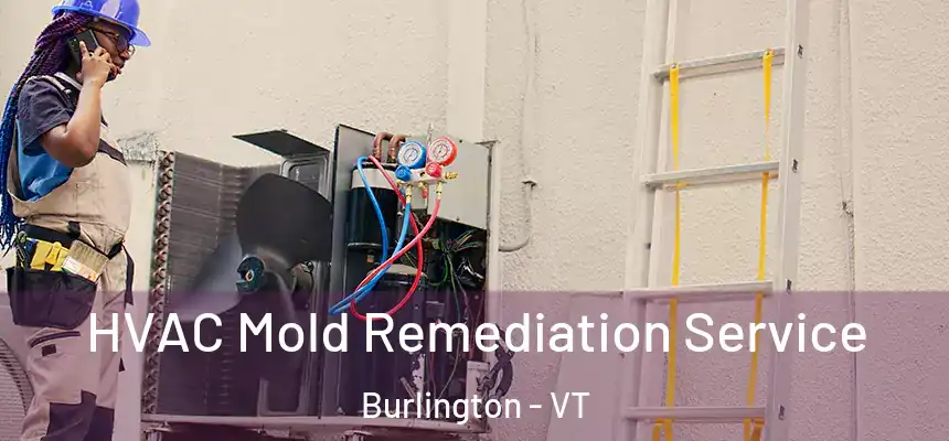 HVAC Mold Remediation Service Burlington - VT