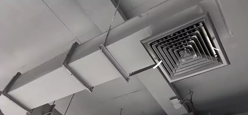 Our Pest Removal From Ducts Services in Burlington, VT