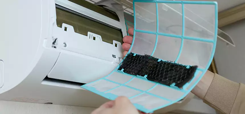 Gentle Ductwork Odor-Control Pet Dander Duct Cleaning in Burlington, VT