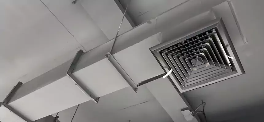 Our Rodent Droppings In Vents Services in Burlington, VT