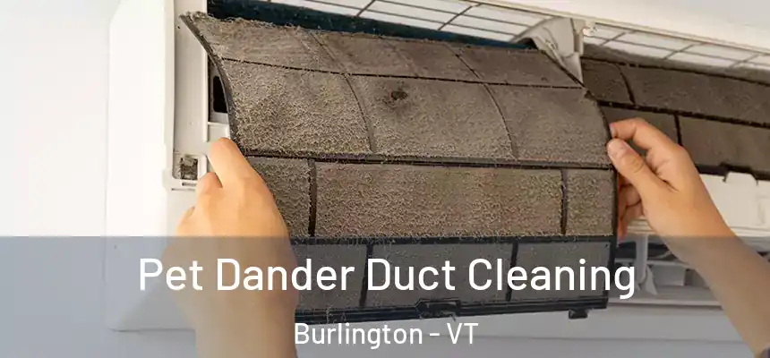  Pet Dander Duct Cleaning Burlington - VT