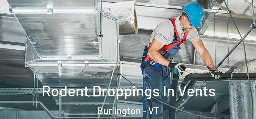  Rodent Droppings In Vents Burlington - VT
