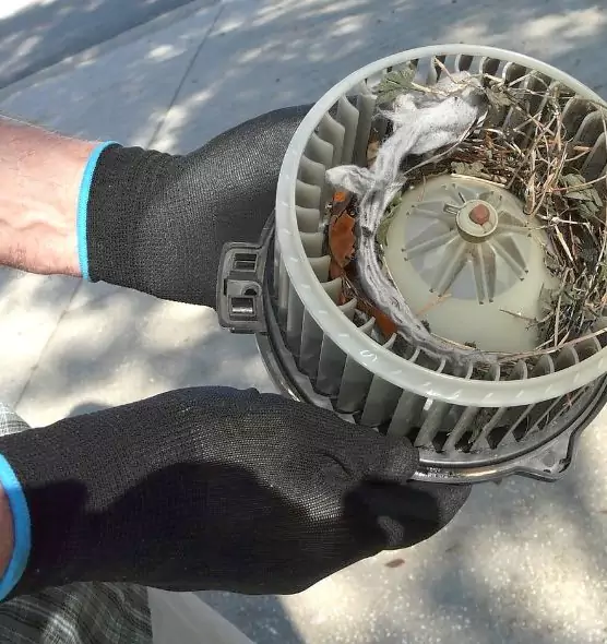 About Air Duct Rat Removal in Burlington, VT