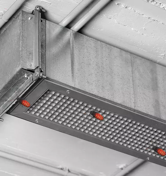Affordable Insect Removal from Air Ducts in Burlington, VT
