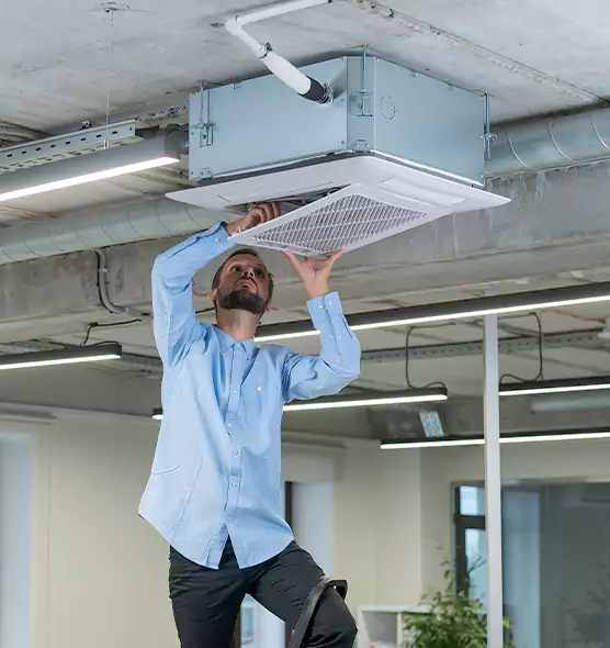 Advanced Rodent Droppings In Vents in Burlington, VT