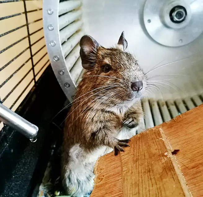 Why Homeowners & Businesses Trust Us Burlington, VT?