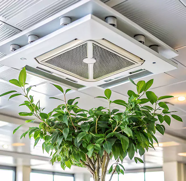 Why Homeowners & Businesses Trust Us in Burlington, VT?